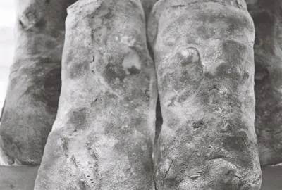 L'ingredient invisible: Per què el nostre pa necessita temps