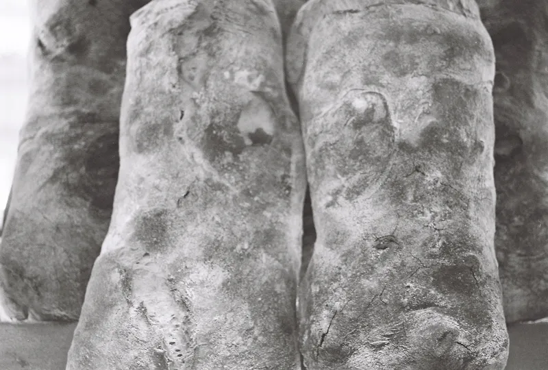 L'ingredient invisible: Per què el nostre pa necessita temps