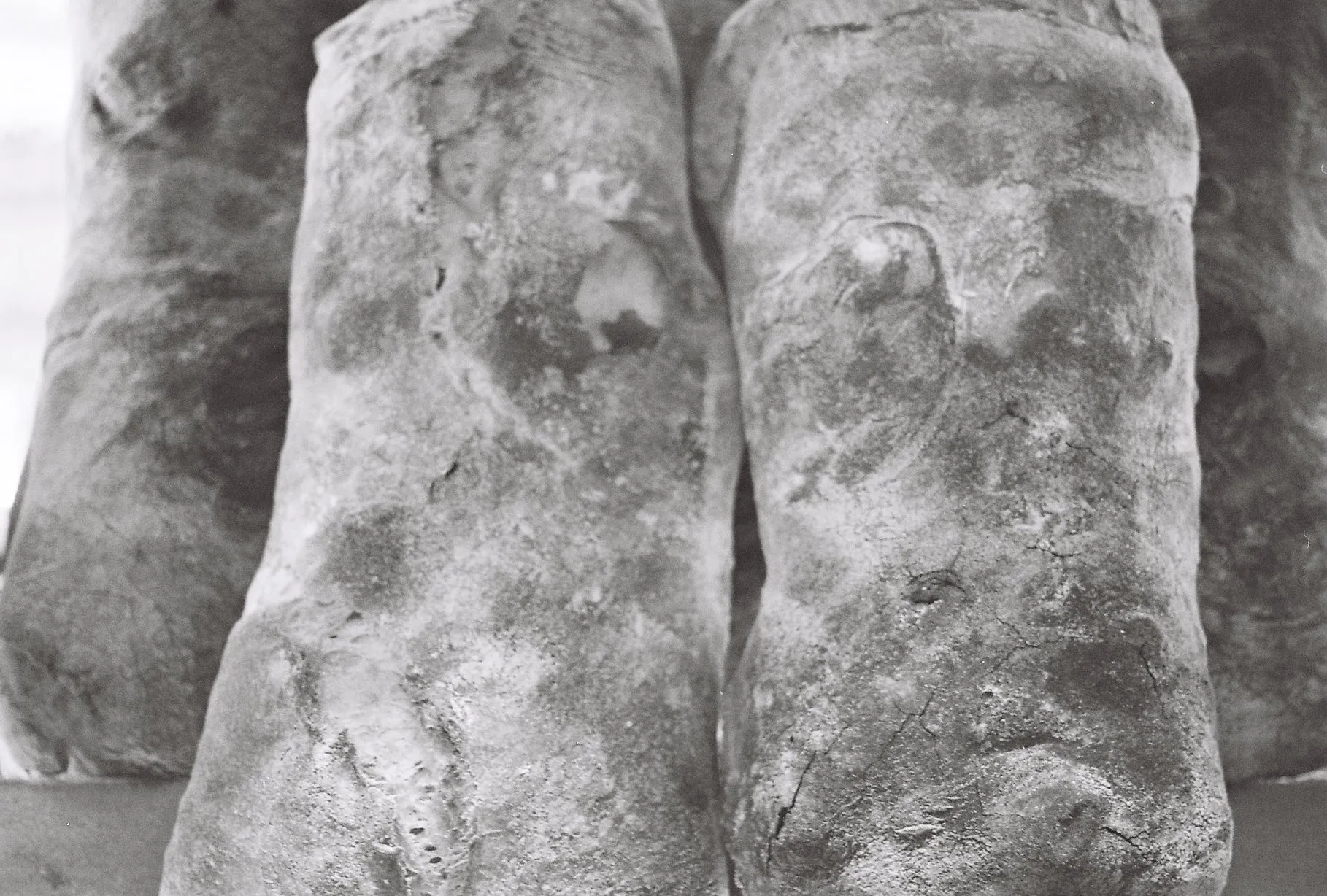 features.paperflipar_title