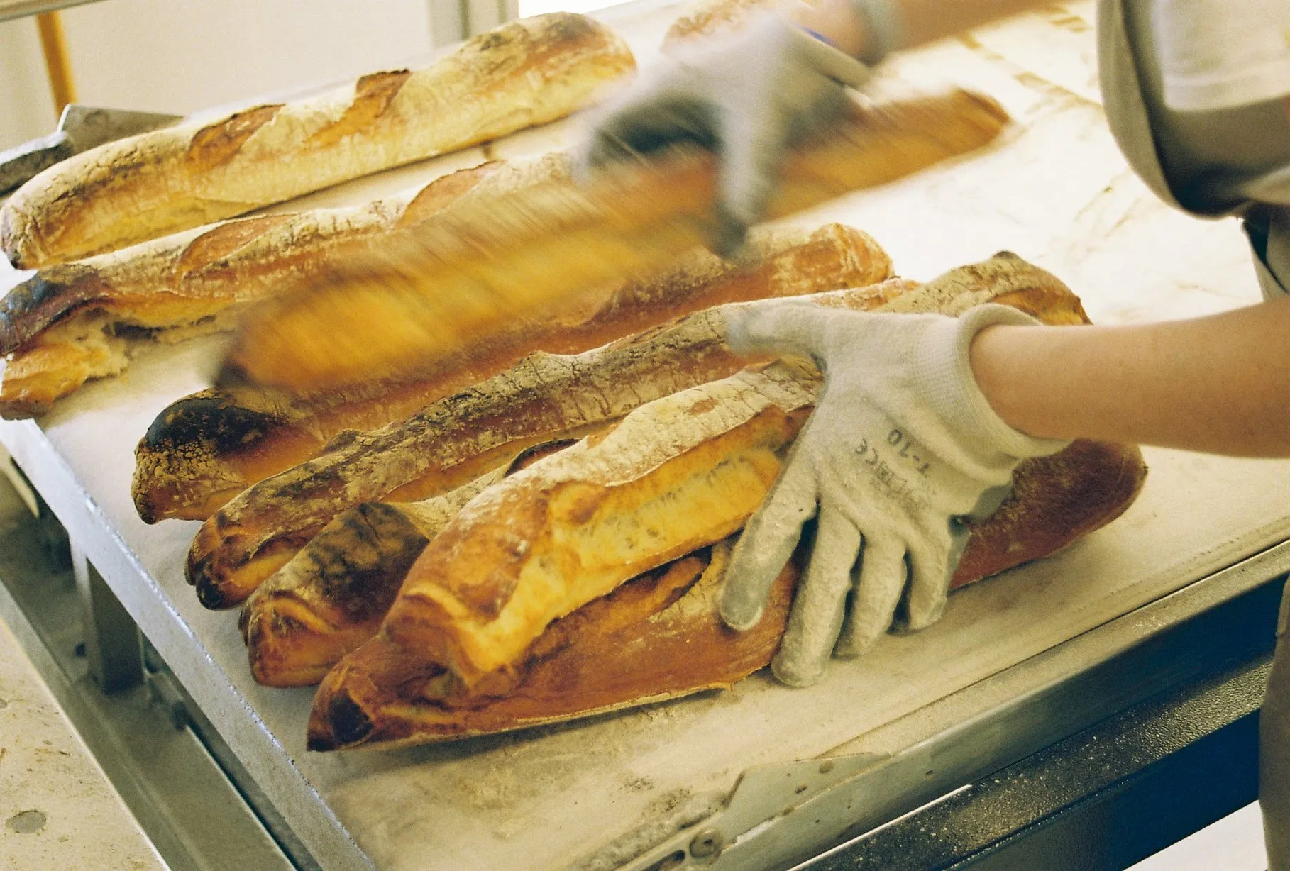 features.treurepaobrador_title